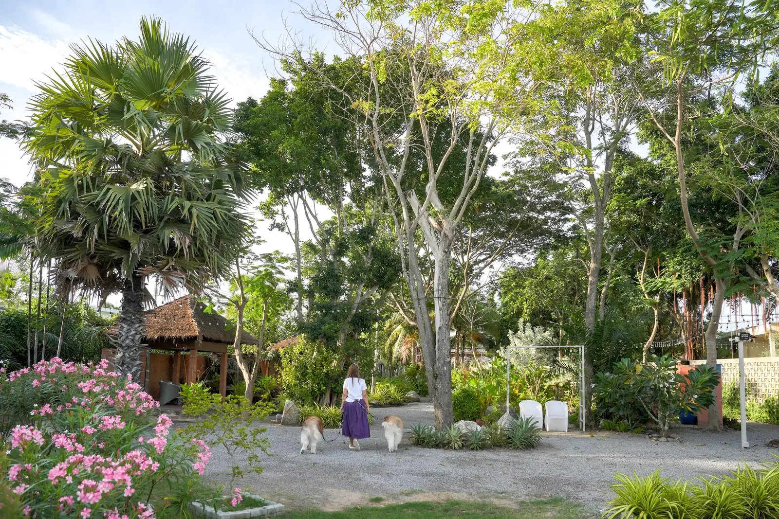 The shared garden with big trees and a pavilion