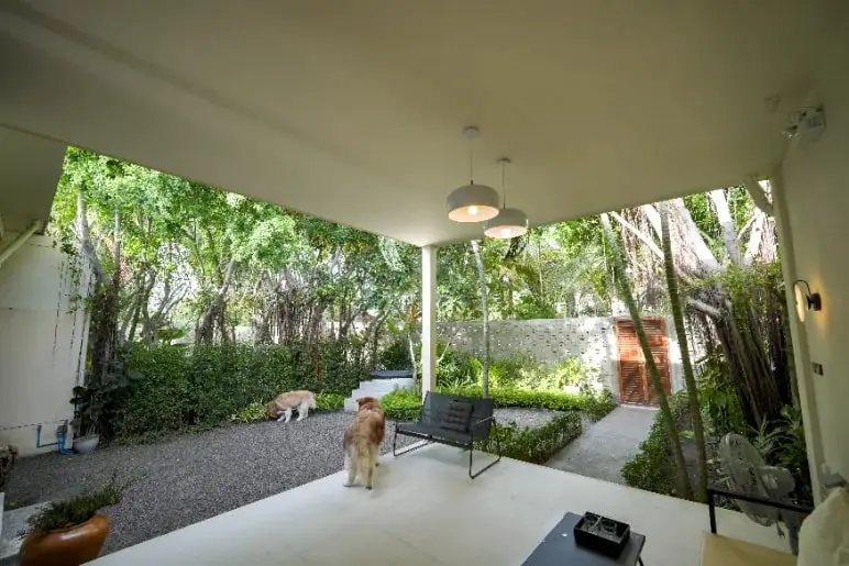The terrace looking onto the private garden, with a dog