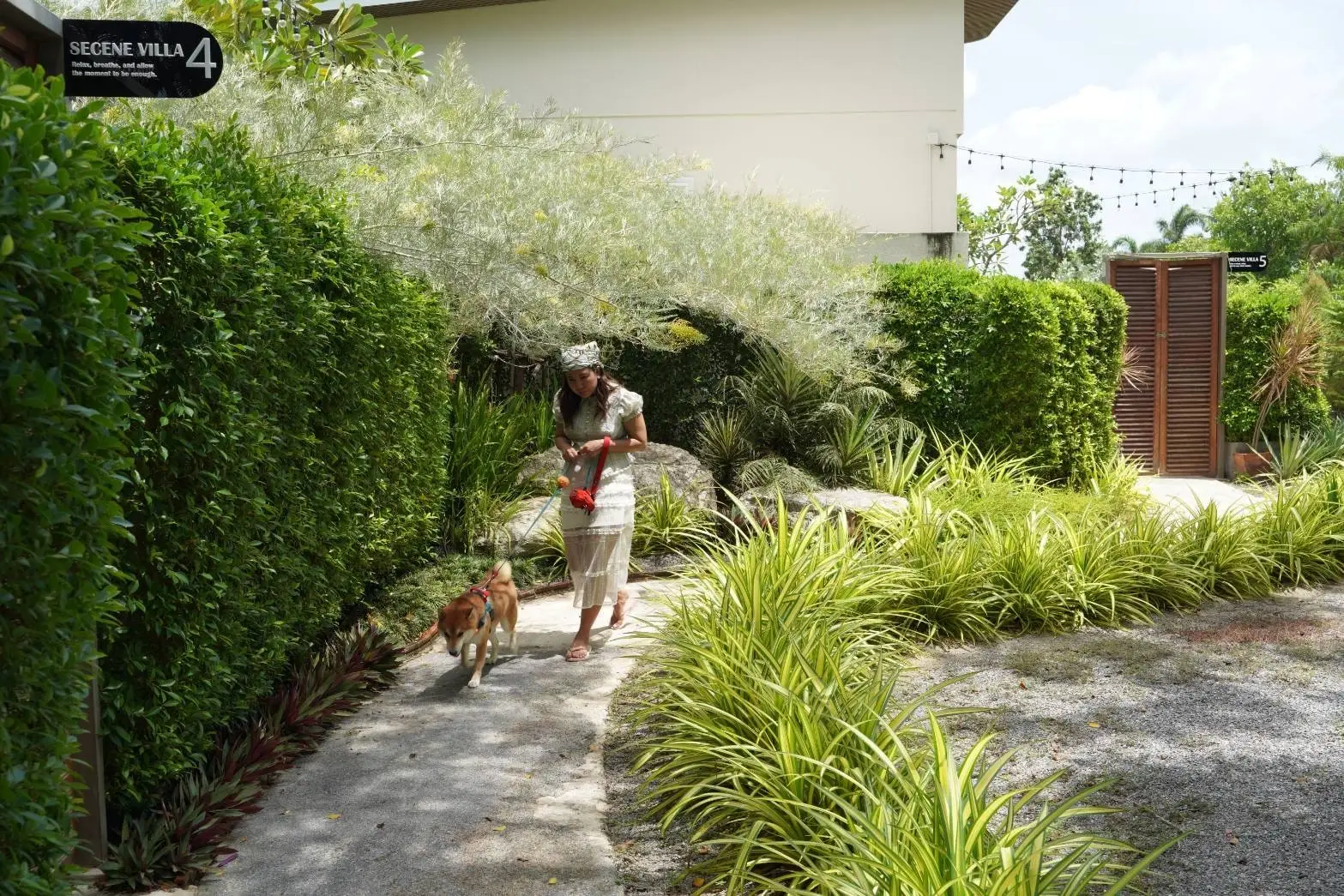 A guest walking a dog along the garden path