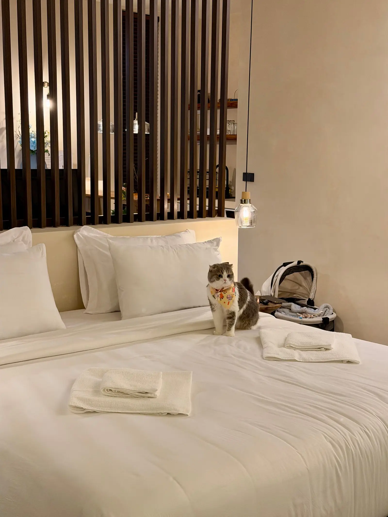 A cat resting on a white bed